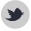 Tweet about us